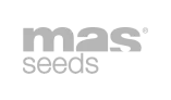 masseeds logo