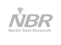 nbr logo
